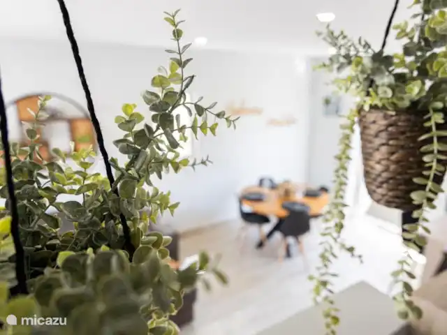 A&V appartement | Curaçao, Curaçao-Centre, Abrahamsz - maison de vacances Plantes dans toute la maison pour une sensation de vacances parfaite.