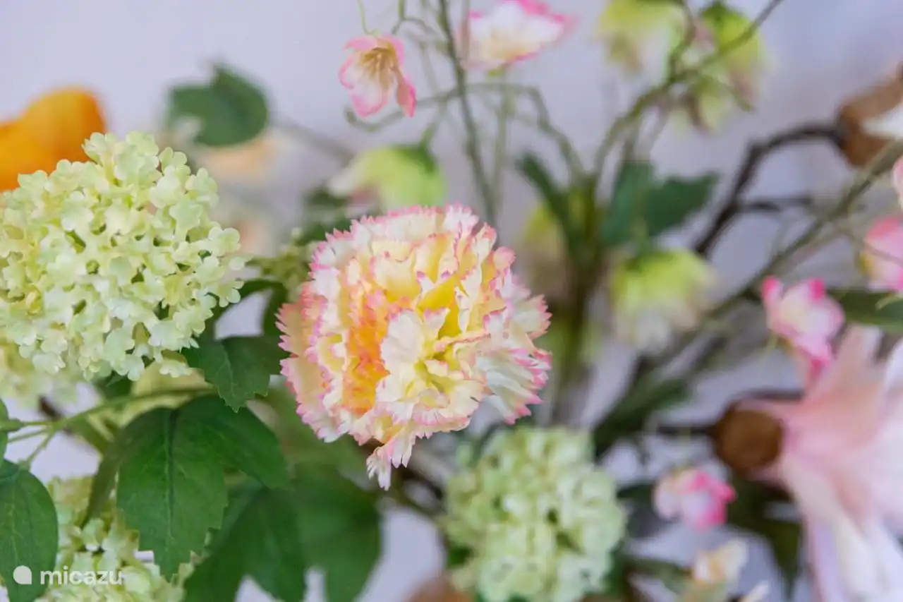 Leuke plantjes door heel de woning voor het vakantie gevoel.
