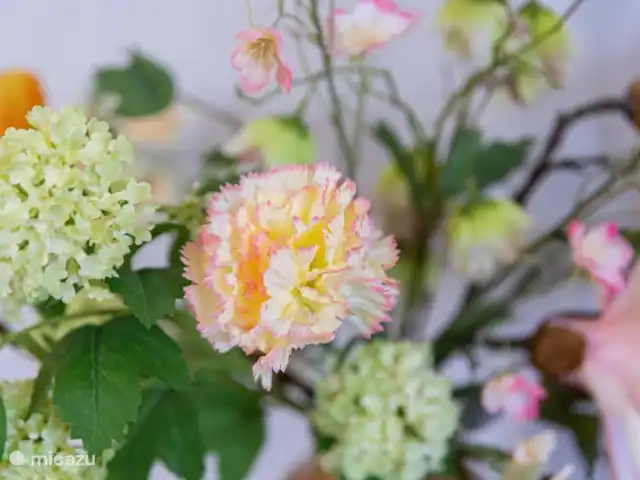 A&V appartement | Curaçao, Curaçao-Centre, Abrahamsz - maison de vacances De belles plantes dans toute la maison pour l’impression de vacances.