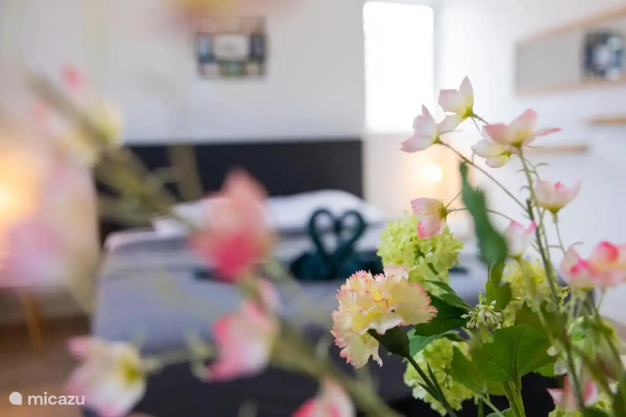 Slaapkamer met airco en 220v