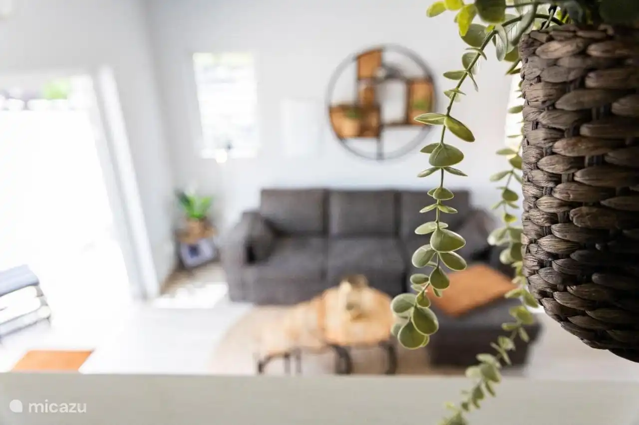 Woonkamer met slaapbank en 43 inc tv met netflix,youtube etc 