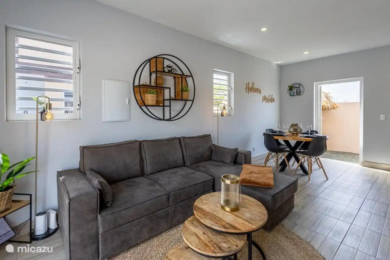 Woonkamer met slaapbank en 43 inc tv met netflix,youtube etc 