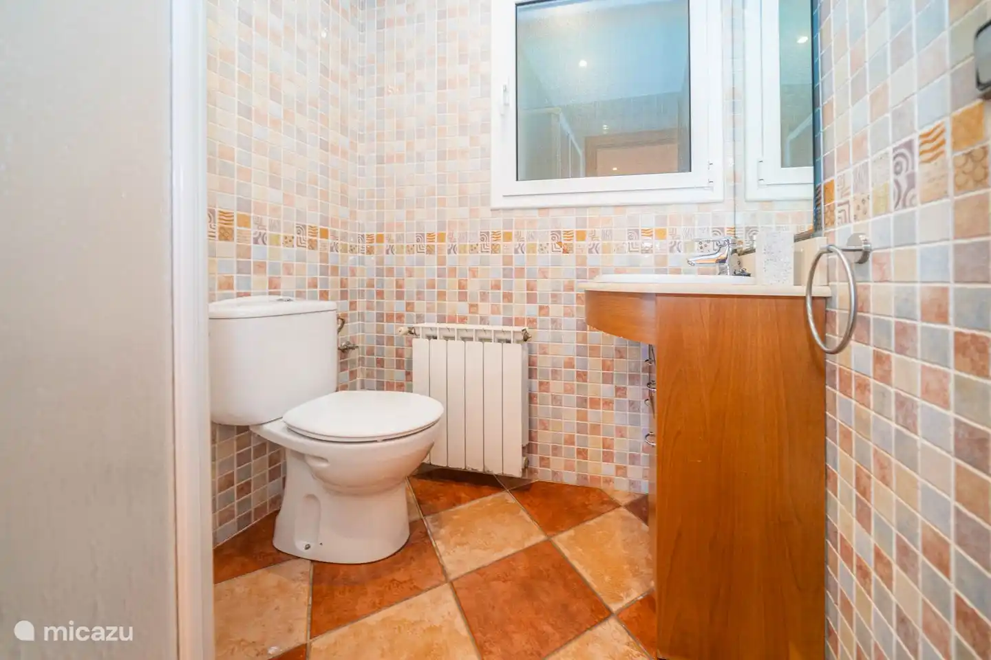 Tegenover de voordeur vindt u de eerste badkamer met toilet en douche