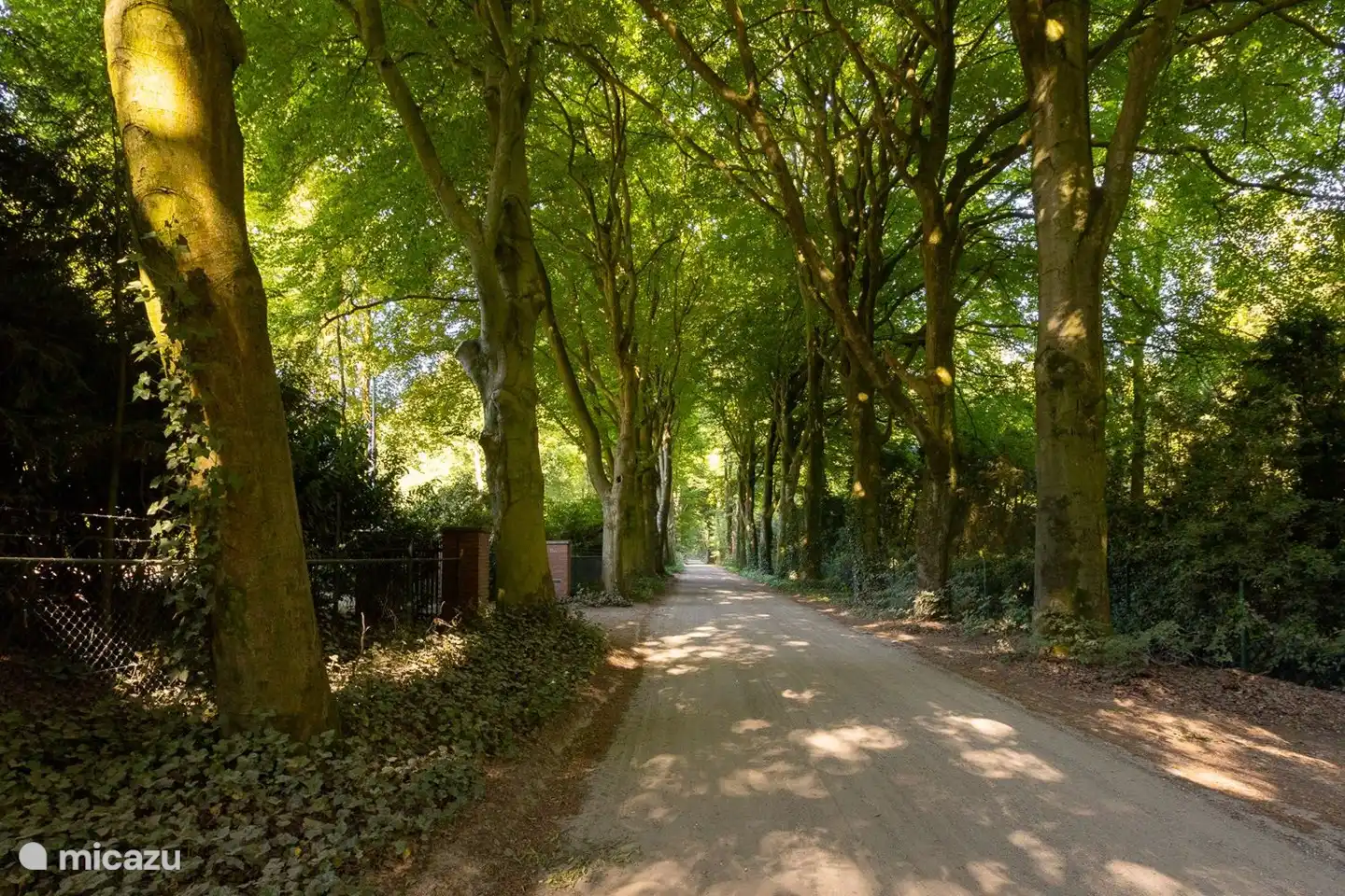 De Horalaan, waar het asfalt overgaat in een zandpad