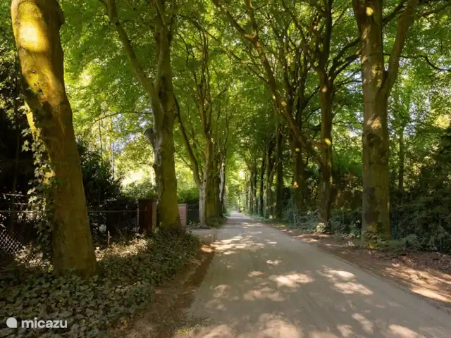Location de Vacances Pays-Bas, Gueldre, Bennekom, maison de vacances - Horahomes-Tuckaway Le Horalaan, où l'asphalte se transforme en chemin de sable