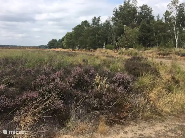 Location de Vacances Pays-Bas, Gueldre, Bennekom, maison de vacances - Horahomes-Tuckaway Pistes cyclables et sentiers pédestres dans les landes