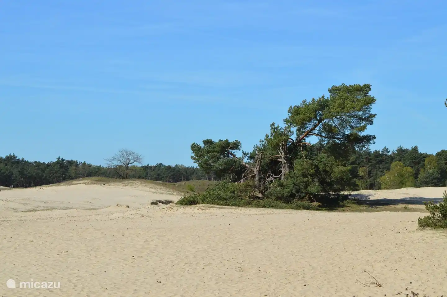 Veluwe