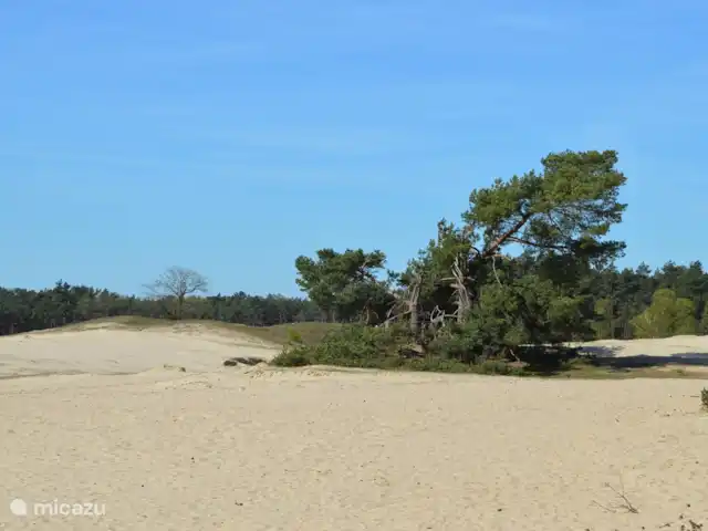 Location de Vacances Pays-Bas, Gueldre, Bennekom, maison de vacances - Horahomes-Tuckaway Veluwe