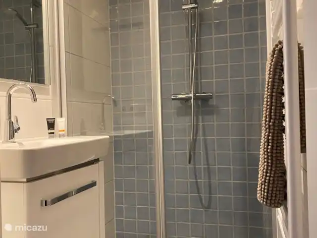 Maison du lac n°7 | Pays-Bas, Frise, Elahuizen - maison de vacances Salle de bain avec douche à effet pluie, serviette, radiateur sèche-serviettes et lavabo.