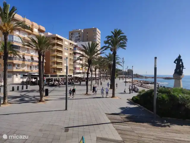 Amay 880 nr.31 Torrevieja huren in Spanje, Costa Blanca, Torrevieja - appartement Boulevard van Torrevieja,