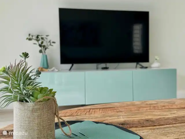 Amay 880 nr.31 Torrevieja huren in Spanje, Costa Blanca, Torrevieja - appartement Smart TV