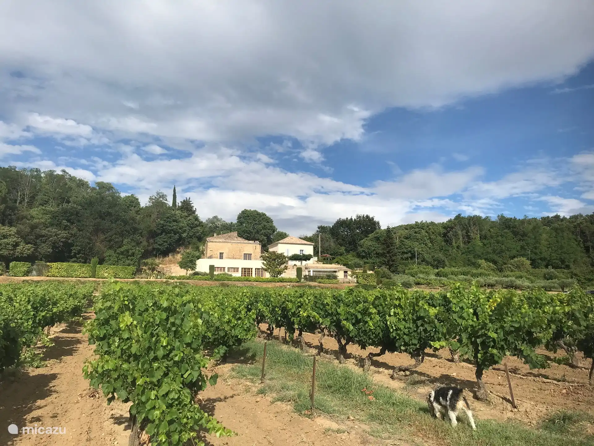 view of domaine Cadignac