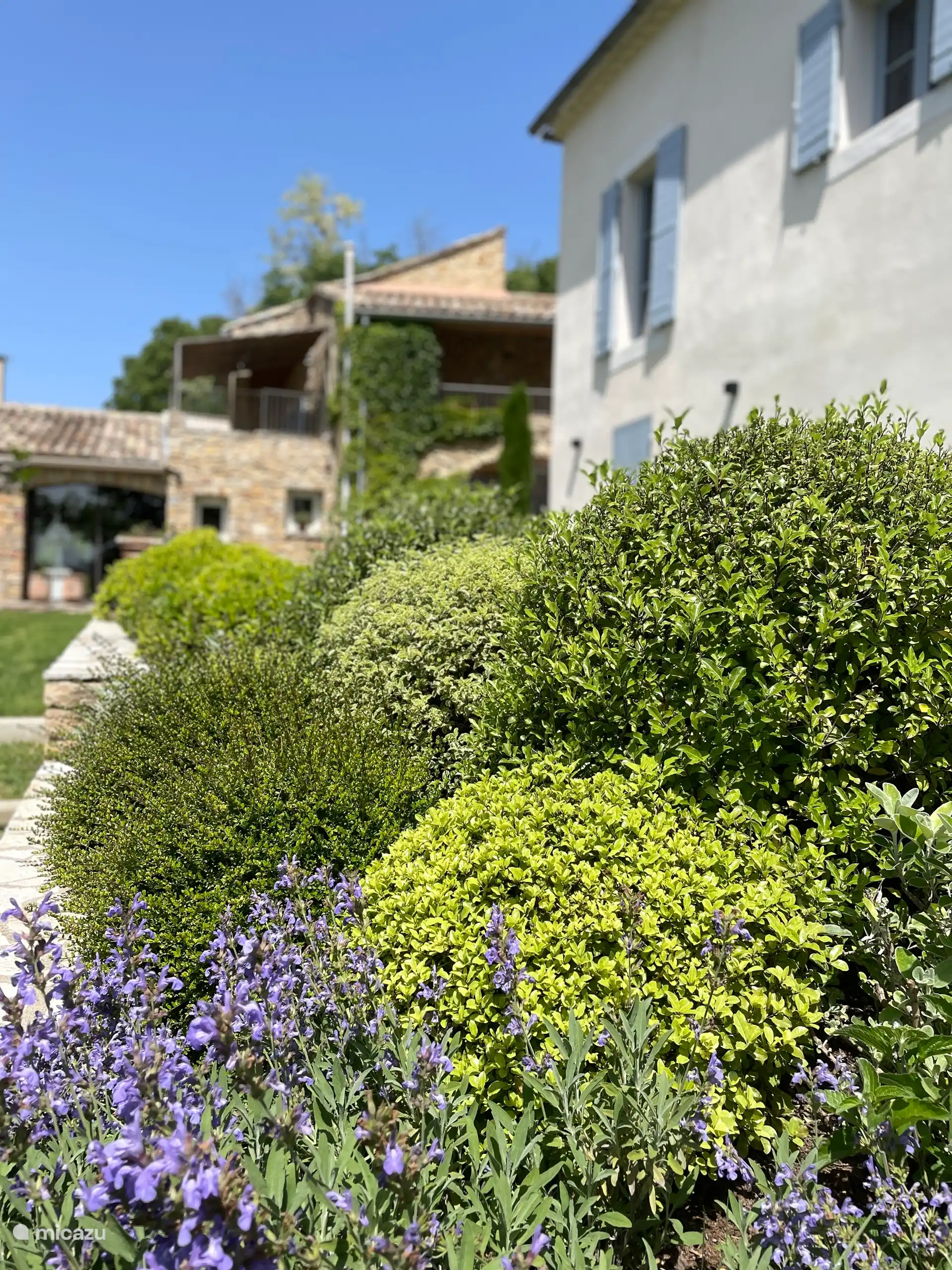 vue de la Joie de Vivre