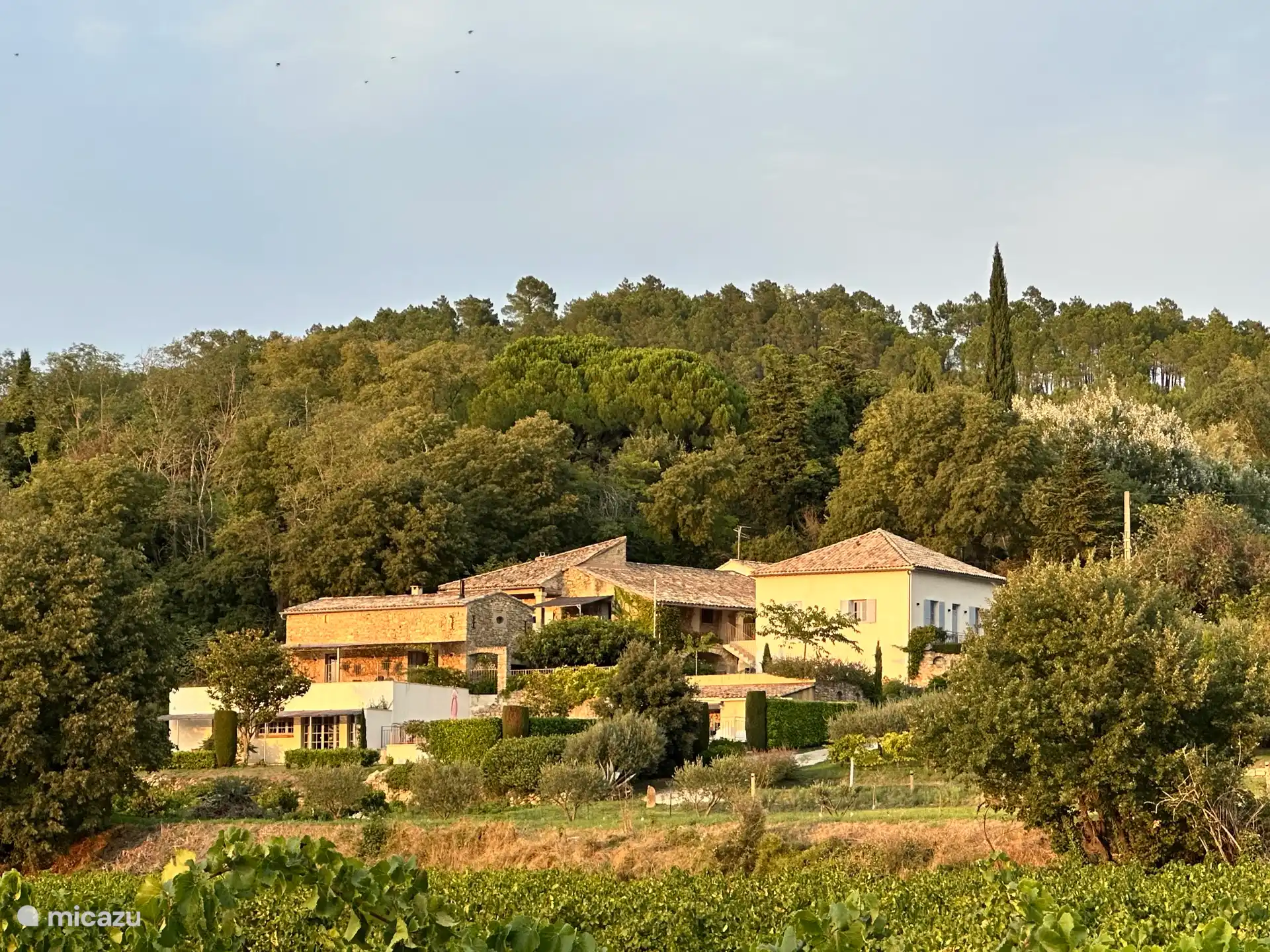 Aperçu du domaine Cadignac