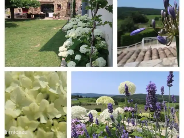 Domaine Cadignac gîte Joie de Vivre | France, Gard, Tresques  - gîte / cottage le jardin