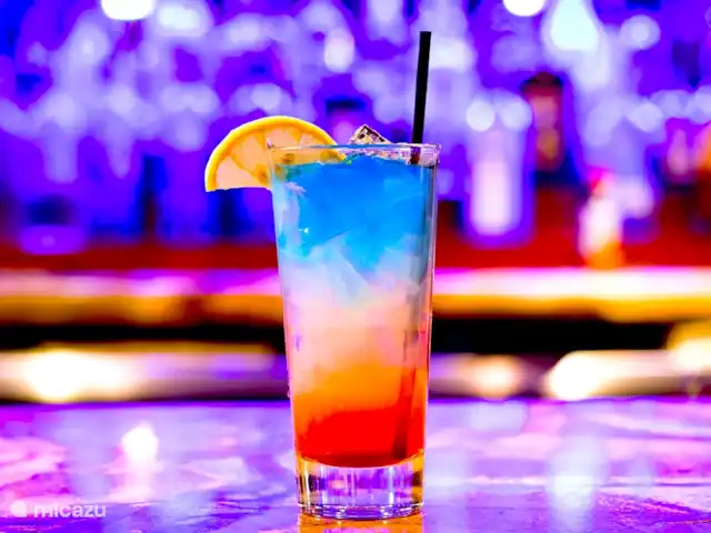 Casa Maya | Espagne, Costa Blanca, Pedreguer - villa Profitez d'une soirée dans l'un des nombreux lounges, bars, restaurants ou clubs de Dénia