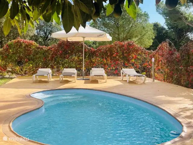 Villa Aguacate - villa con aire acondicionado en España, Costa Brava, Calonge - casa vacacional piscina y jardin