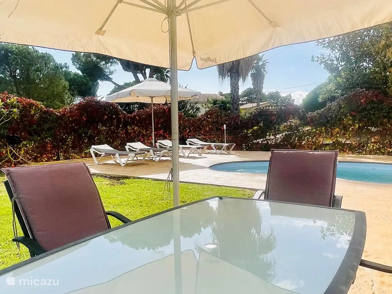 Swimming pool and garden