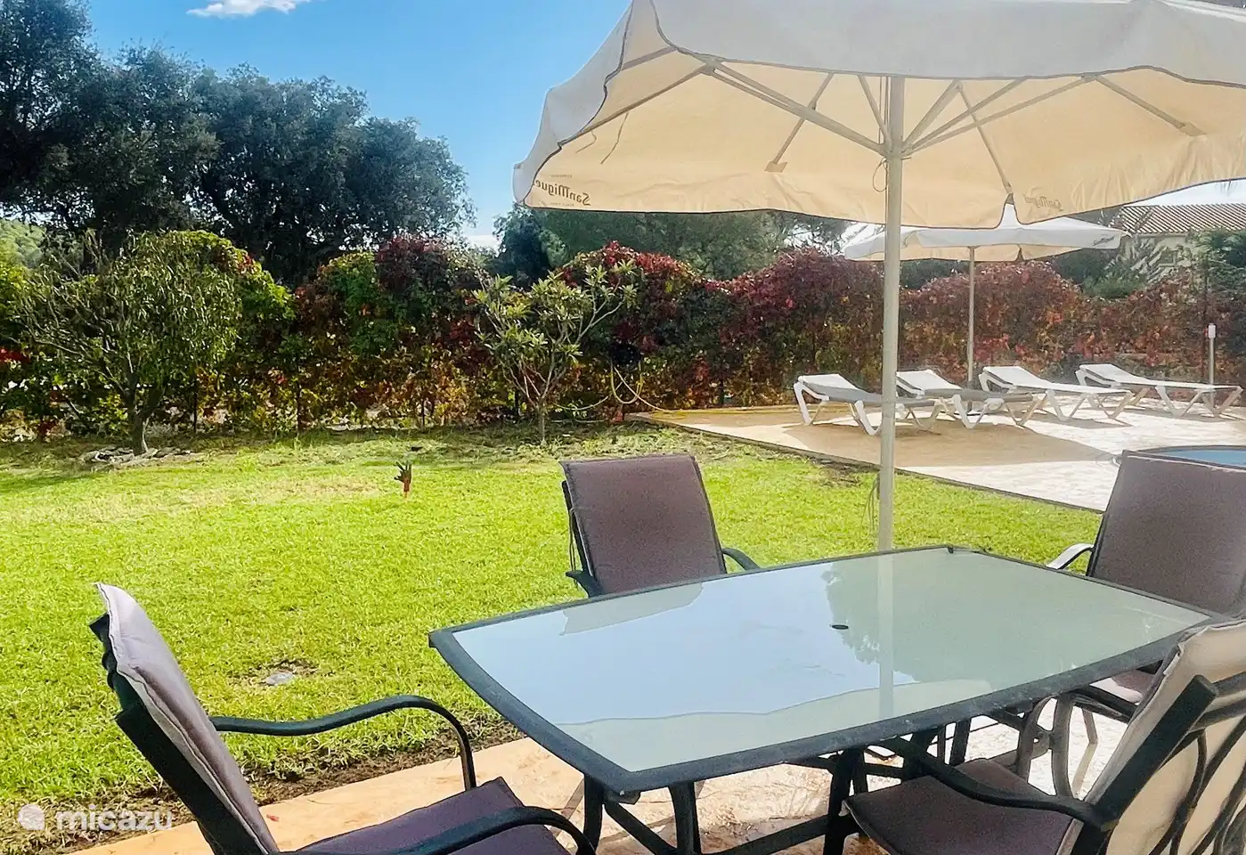 Swimming pool and garden