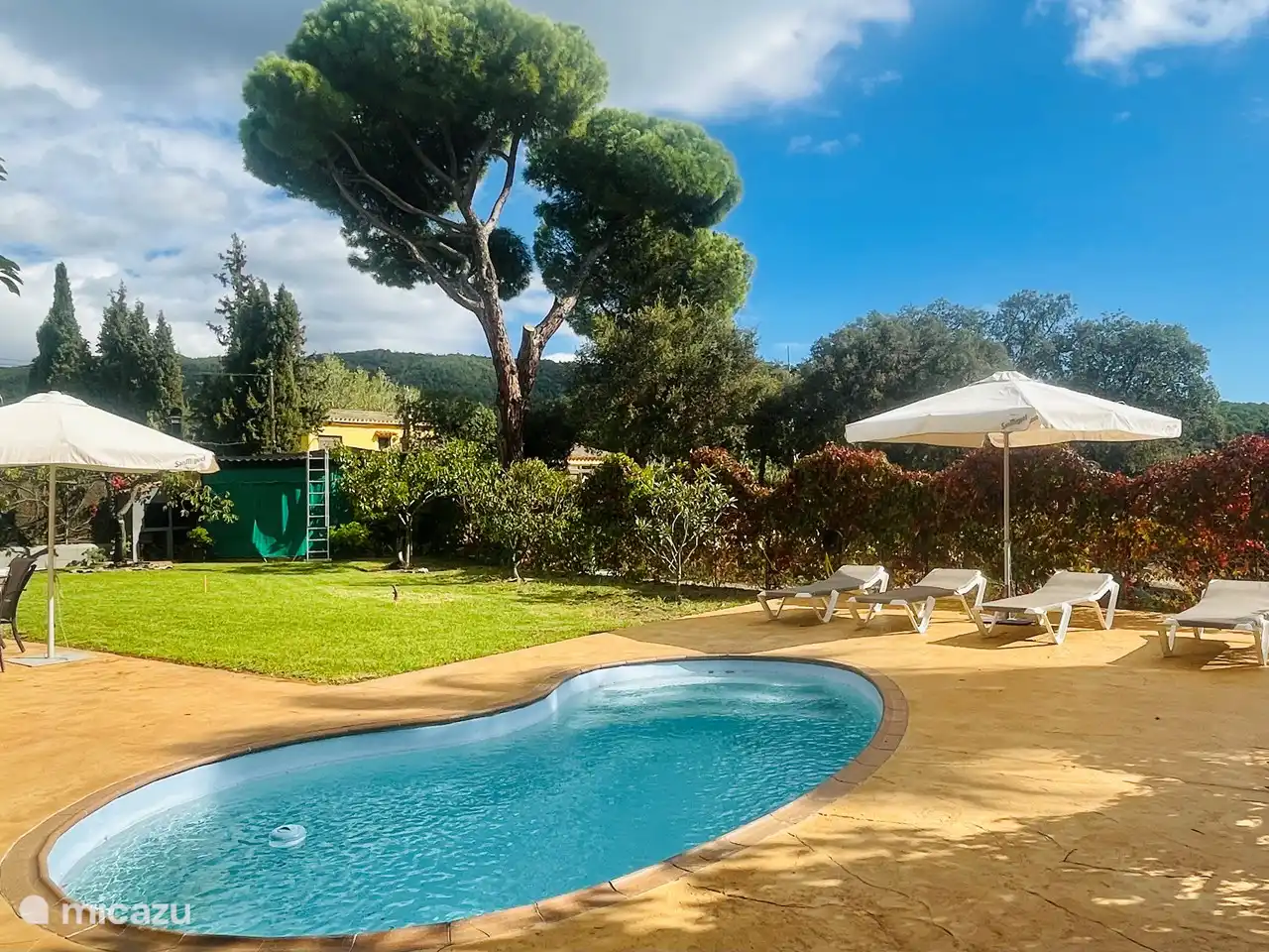 Swimming pool and garden