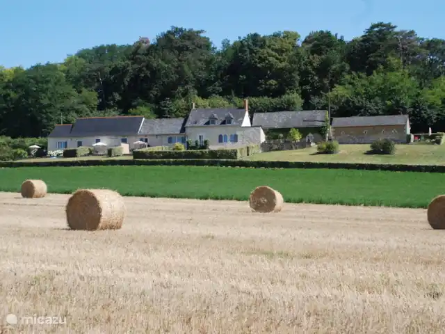 La Colline huren in Frankrijk, Maine-et-Loire, Les Bois d'Anjou - gîte / cottage La Colline huren in Frankrijk, Maine-et-Loire, Les Bois d'Anjou - gîte / cottage
