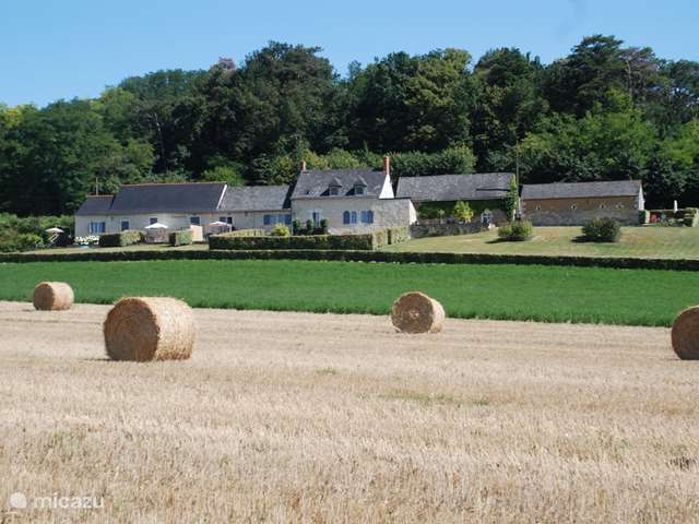 Ferienwohnung Frankreich, Maine-et-Loire, Les Bois d'Anjou - gîte / hütte La Colline
