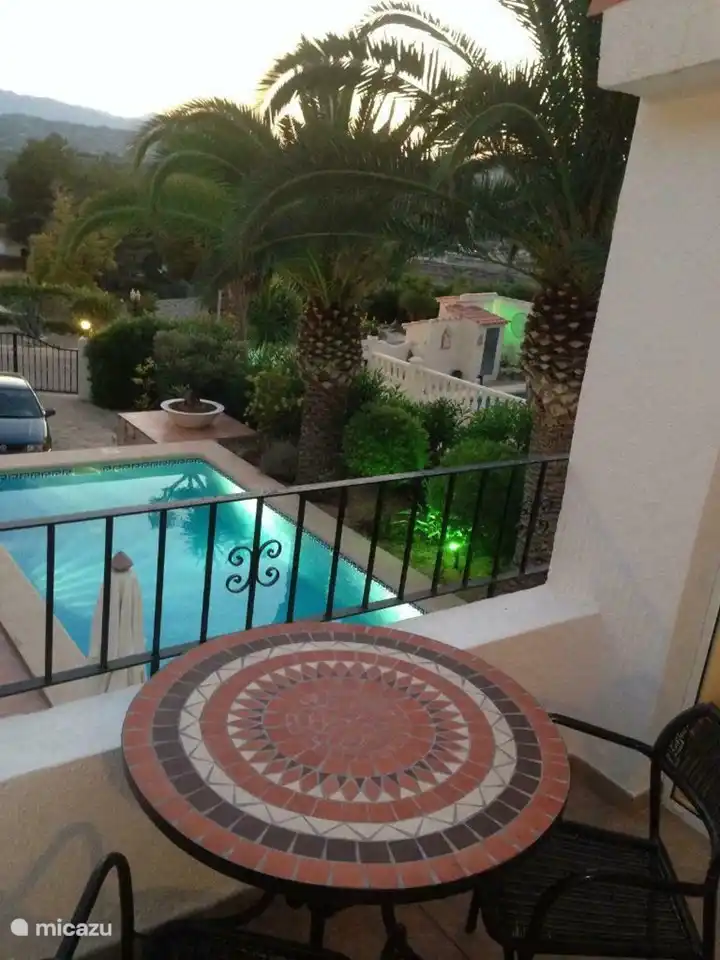 view of the swimming pool and the palms