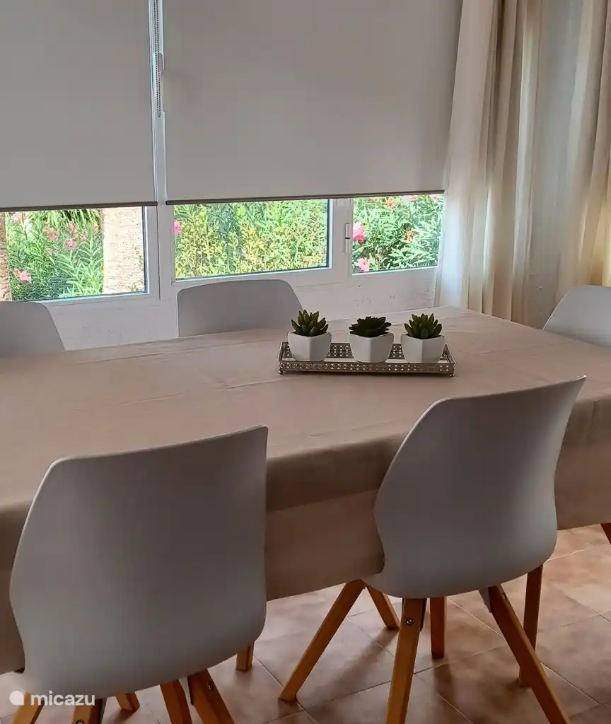Casa Palmera, foto 4
