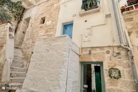 Polignano une jument