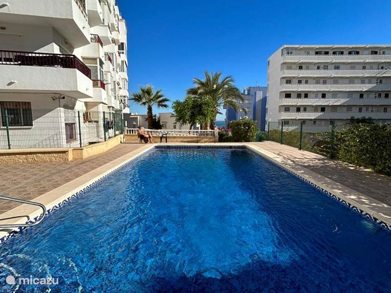 Holiday home in Spain, Costa Blanca, Torrevieja Apartment Reel Apartments - Luxury Studio