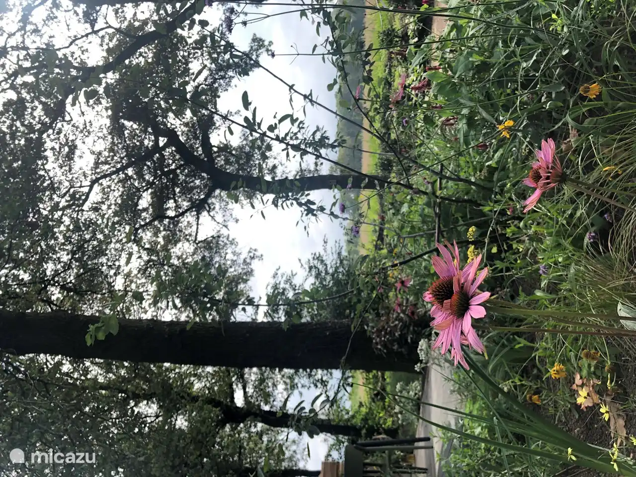 Der Garten wurde sorgfältig mit verschiedenen blühenden Pflanzen bepflanzt!