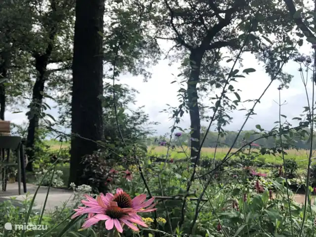 De Boschkerhook huren in Nederland, Gelderland, Vragender - vakantiehuis De tuin is met zorg aangeplant, met verschillende bloeiende planten!