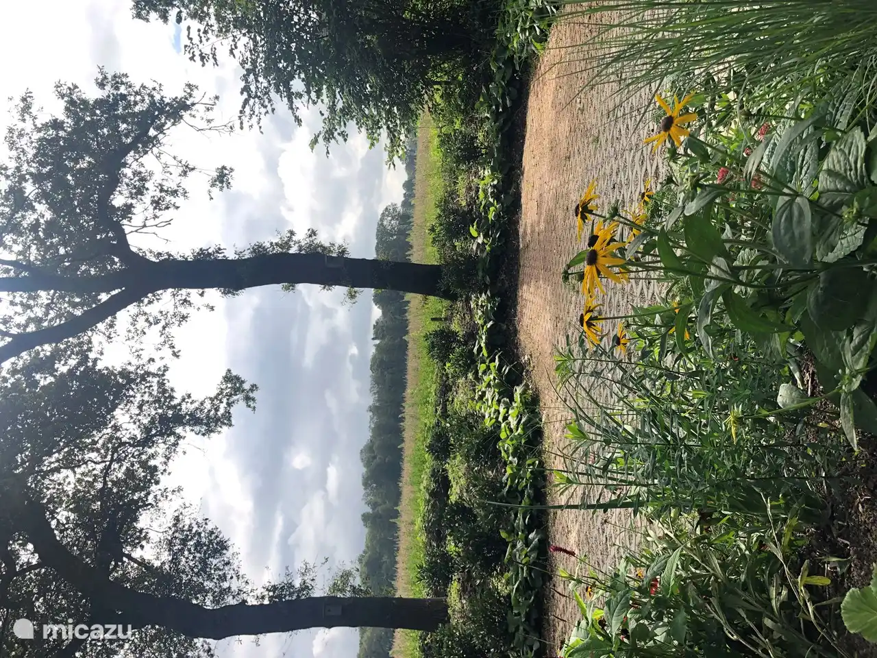 Blick über das Feld