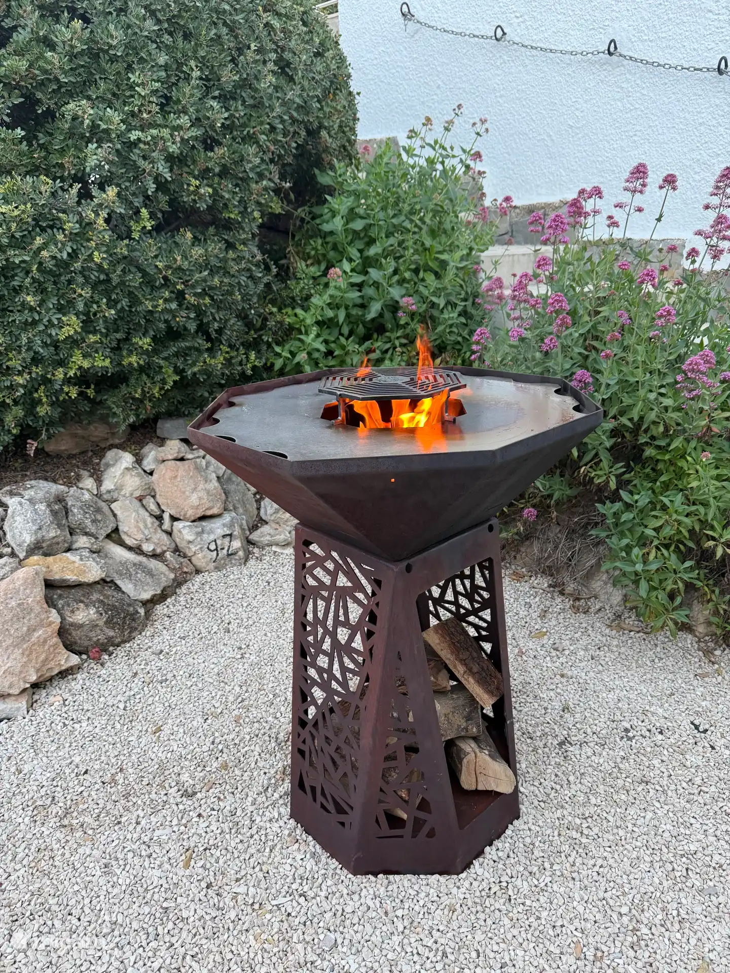 Braseón + barbacoa de gas 