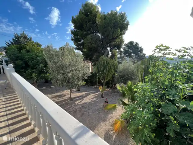 Location de Vacances Espagne, Costa Blanca, Benissa, villa - Villa Savina : Vue mer & Jardin Vue du jardin depuis la terrasse de la piscine : oliviers, citronniers, figuiers, cactus...