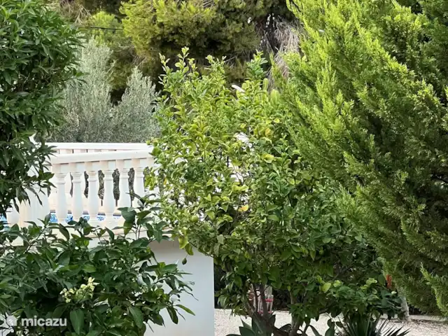 Location de Vacances Espagne, Costa Blanca, Benissa, villa - Villa Savina : Vue mer & Jardin Le jardin, vue sur la barrière de la terrasse