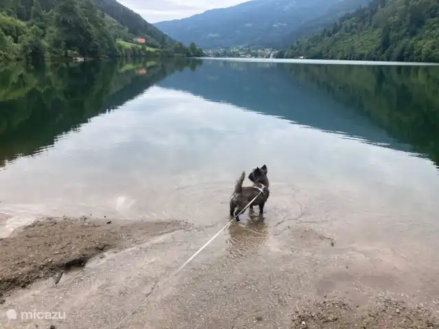 Apartamento de 1 dormitorio con balcón  en Austria, Carintia, Feld Am See - apartamento Los perros son bienvenidos