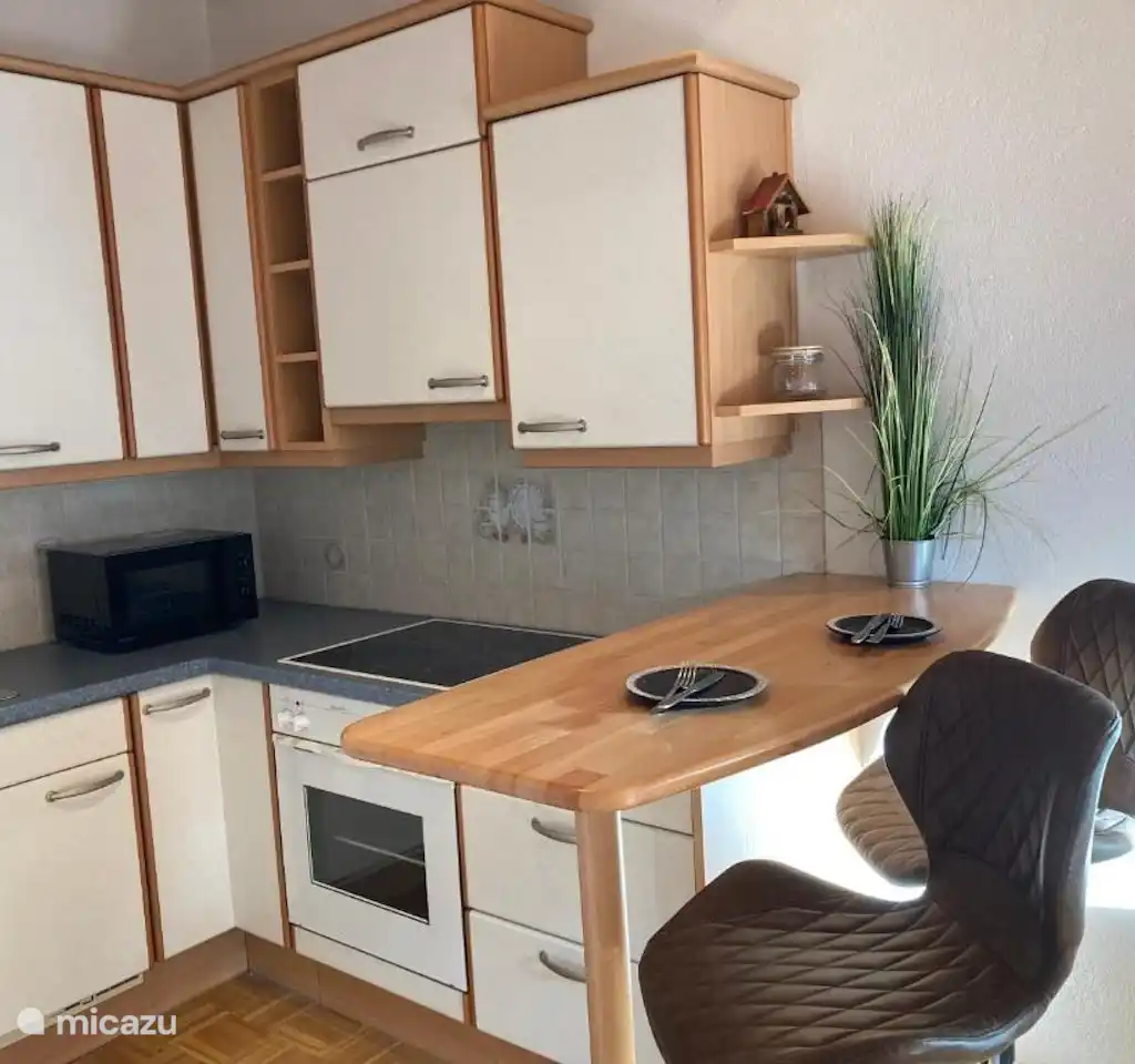 Appartement 1 slaapkamer met balkon