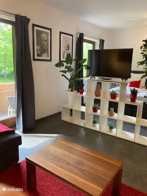 Details, Balkontür, drehbarer Fernseher mit Streaming-Möglichkeit,