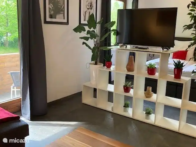 Studio avec balcon | Autriche, Carinthie, Feld Am See - appartement détails, porte balcon, TV rotative avec options de streaming,