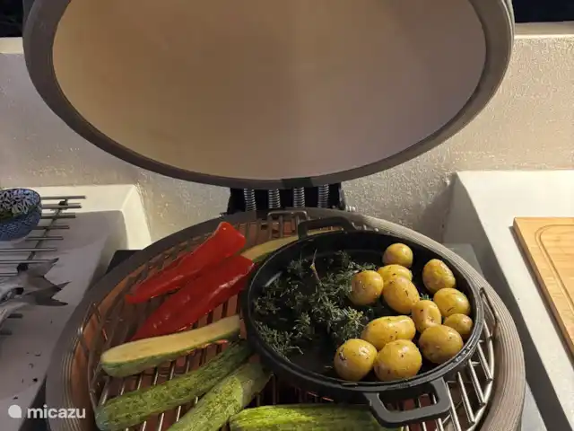 Villa Zaverda en Grecia, Gracia Central, Paleros - villa Barbacoa bastarda también para verduras frescas con hierbas de su propio jardín.