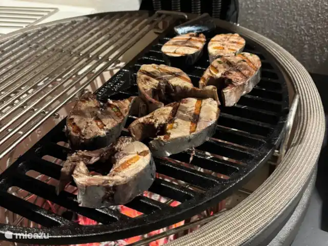 Villa Zaverda en Grecia, Gracia Central, Paleros - villa Pescado fresco en la barbacoa.