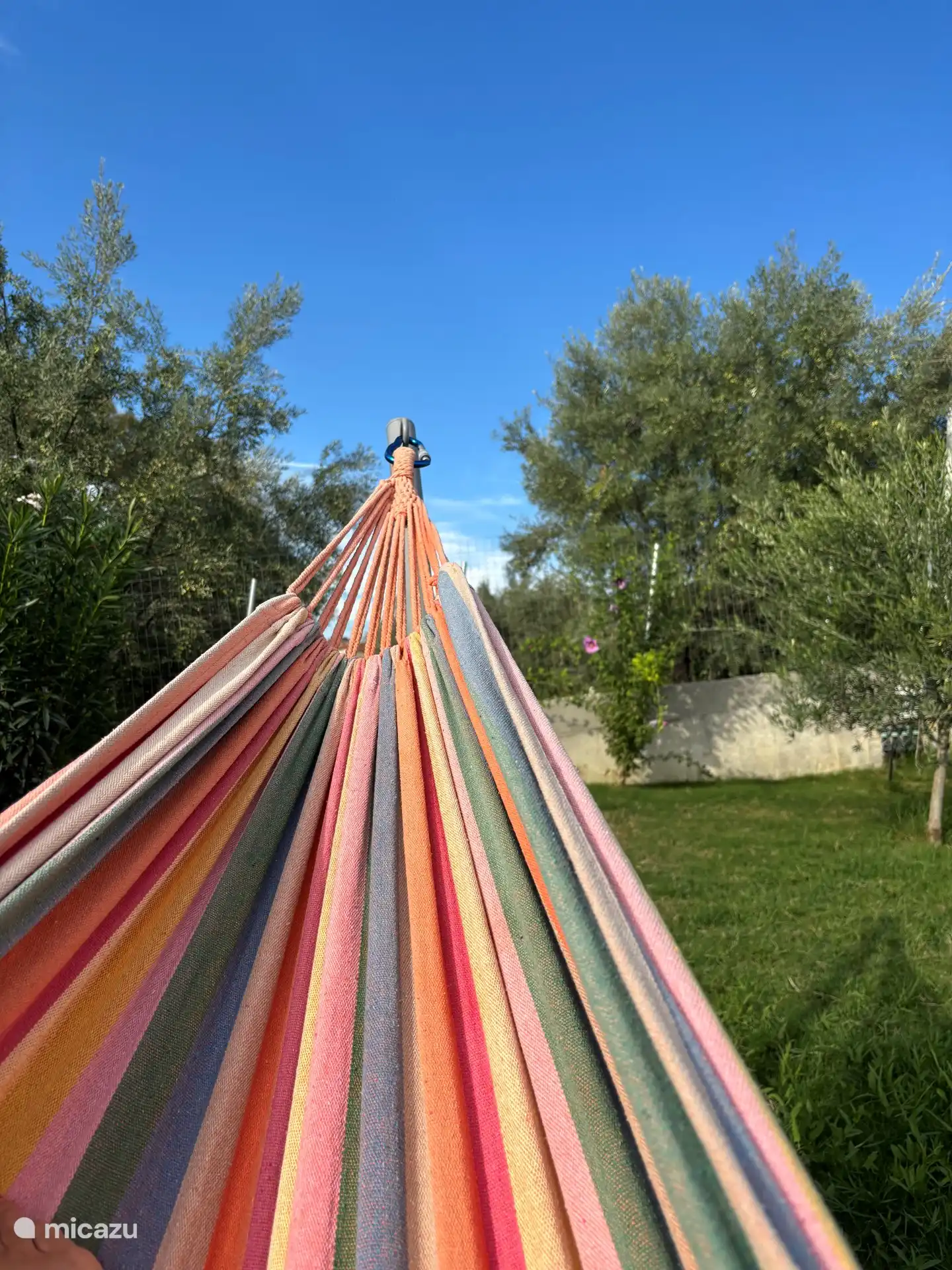 Hammock in the garden.