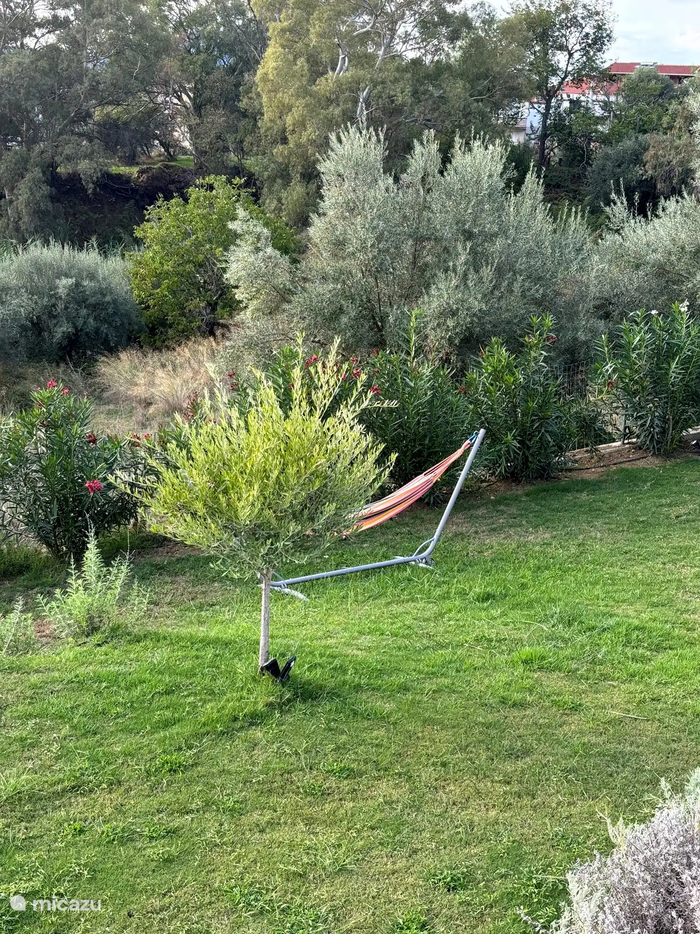 Hammock can be placed in different places in the garden.