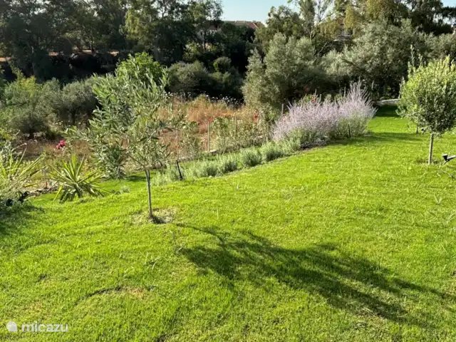 Villa Zaverda en Grecia, Gracia Central, Paleros - villa Precioso césped para relajarse.
