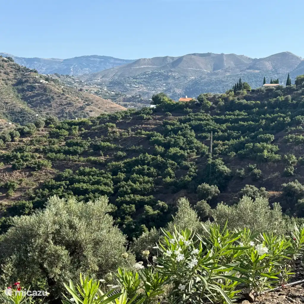 Cortijo Albarino