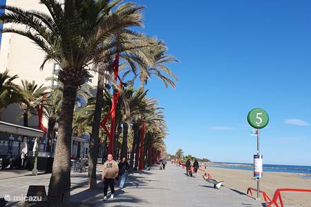 Bulevar Playa del Fortí