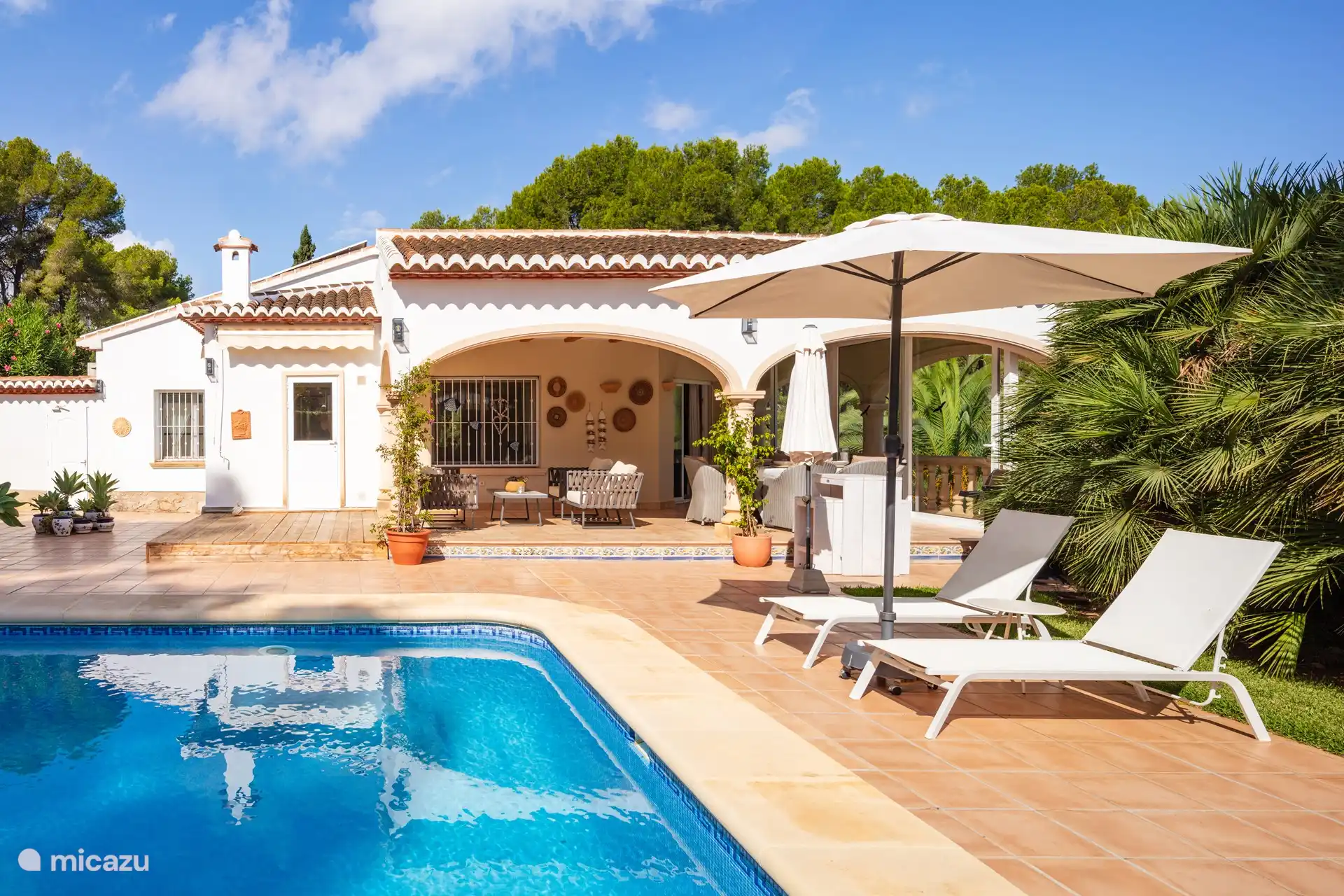 Terrace with swimming pool