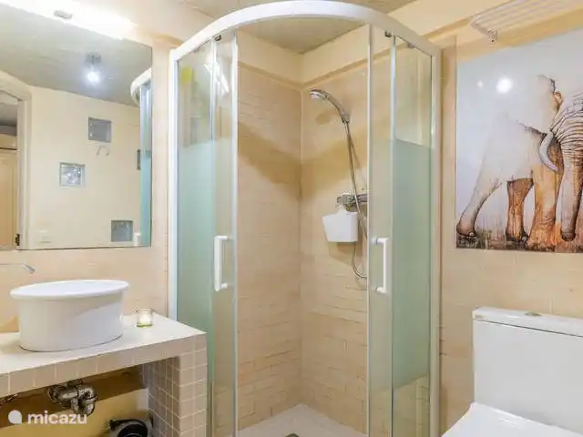 VillaOntspan huren in Spanje, Costa Blanca, Benidorm - villa Badkamer