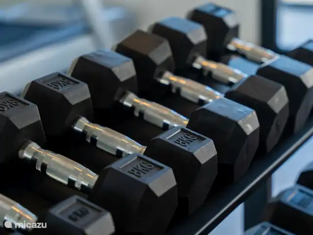 Apartamento de lujo para 8 personas  en España, Costa del Sol, Málaga - apartamento Gimnasia